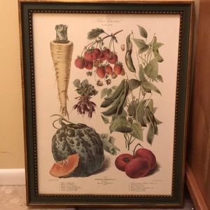 Great picture for any room